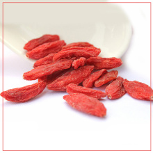 Venta caliente china baya de goji orgánica seca fresca